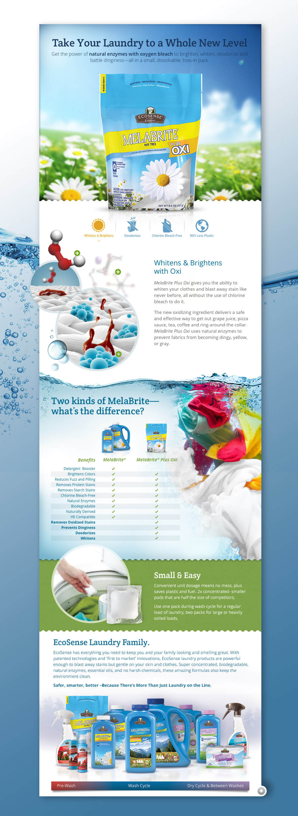 Melabrite Web Landing Page